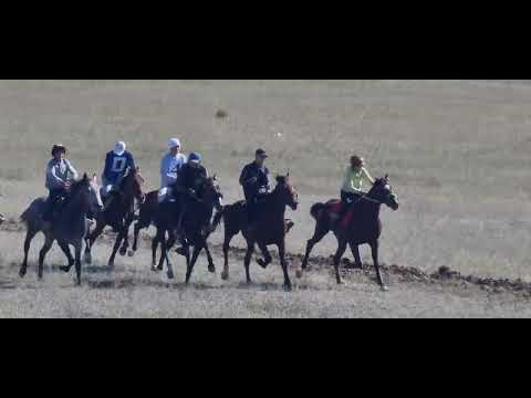 Видео: Бышты Жорго 28 09 2024 Жети Өгүз Шерне Чабыш