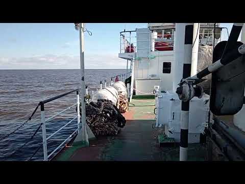 Видео: 14 августа