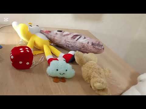 Видео: п.с.з.о. 5 (новые, старый друг)