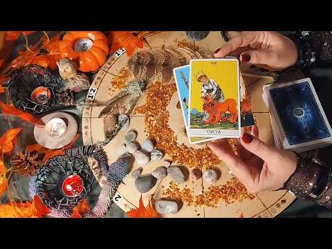 Видео: АСТРО+ТАРО ПРОГНОЗ на ноябрь 2025: ♉ Телец, ♊ Близнецы, ♋ Рак, Лев,♌, ♍ Дева, Весы ♎