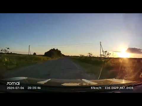 Видео: Driving in Central Russia: Збуйнево - Нерль - Ермолино 06/07/2024 (timelapse 4x)