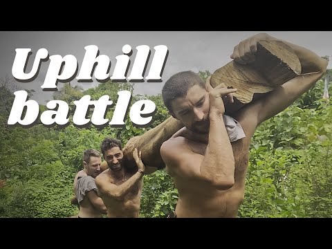 Видео: Начинаю жалеть, что построили здесь офис 😅