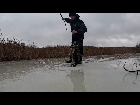 Видео: Щука клювала як скаженна Такого ще не бачив