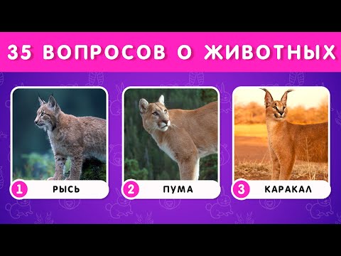 Видео: ВИКТОРИНА О ЖИВОТНЫХ /  EMOJI COOL 😎