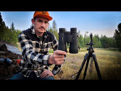 Видео: ЛУЧШИЕ БИНОКЛИ ДО 600 ДОЛЛАРОВ — Vortex Viper HD