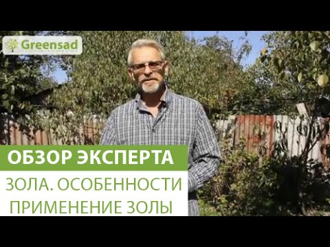 Видео: Зола. Особенности применение золы