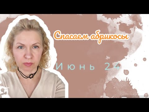 Видео: Спасаем абрикос и ждём, когда можно занырнуть в бассейн.