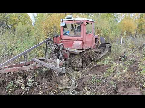 Видео: расчистка полей 2021