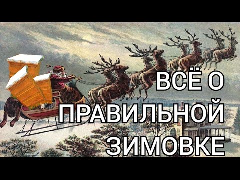 Видео: УСЛОВИЯ ХОРОШЕЙ ЗИМОВКИ