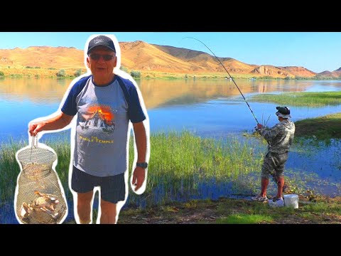 Видео: РУКА УСТАЛА ТАСКАТЬ! ВЕДЬ ПОКЛЁВКИ ВЕСЬ ДЕНЬ БЕЗ ОСТАНОВКИ! #2