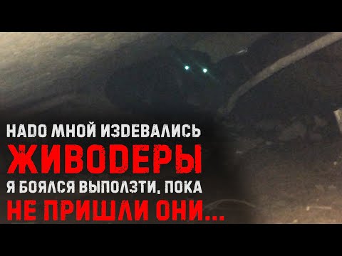 Видео: Живодеры продели проволоку через кожу щенка и завязали узлом. Что стало со щенком. История спасения