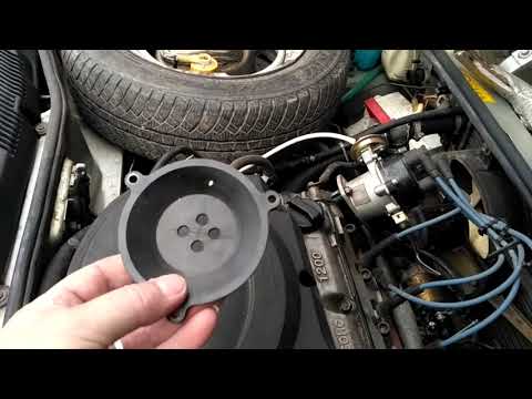 Видео: для тех у кого газ на черепашке