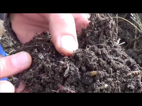 Видео: АТ84 Черви Старатель и их соседи клещи, ногохвостки и тд.