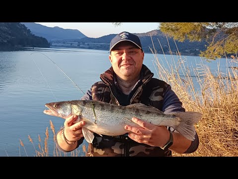 Видео: 1 февраля, рыбалка на фидер, забагрил судака фидером