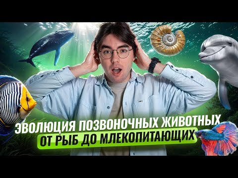 Видео: Эволюция позвоночных животных: от рыб до млекопитающих I Онлайн урок по биологии I Умскул