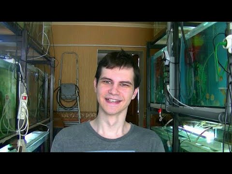 Видео: Почему белеет икра у рыбок? Основные причины.