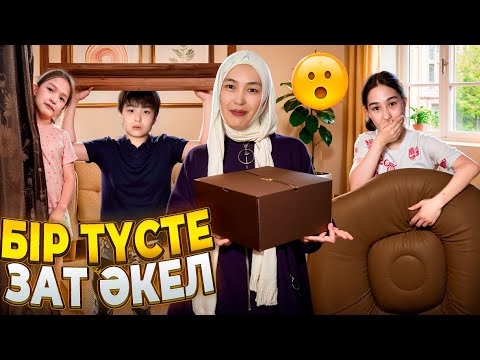 Видео: БІР ТҮСТЕ ЗАТ ӘКЕЛ #красопеткачеллендж
