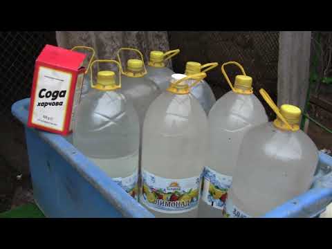 Видео: Начинаю поить голубей домашней содой, (фильм  2 )07.03.2021 г