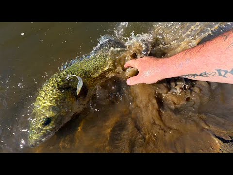 Видео: ЭПИЧЕСКАЯ рыбалка в окно клева на закате