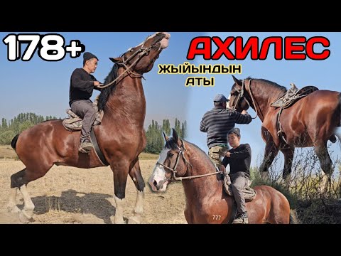 Видео: башы КӨРҮНГӨН АХИЛЕС😱 ТААНЫМАЛ ЧОҢ жыйындын АТЫ ЫКТЫЯРДА