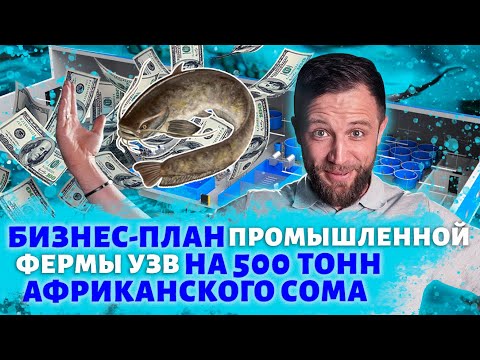 Видео: Сколько ДЕНЕЖНОЙ ПРИБЫЛИ приносит ФЕРМА УЗВ на АФРИКАНСКОГО СОМА и что НУЖНО для ее СТРОИТЕЛЬСТВА?