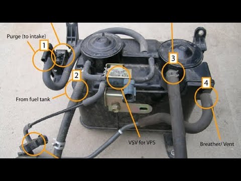 Видео: Диагностика автомобилей Tacoma, p0455, p0441 и других в домашних условиях без сложного оборудования.