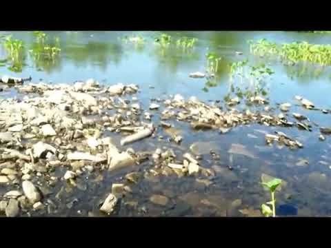 Видео: Сплав по рекам Чуть и Ухта (перезалив)