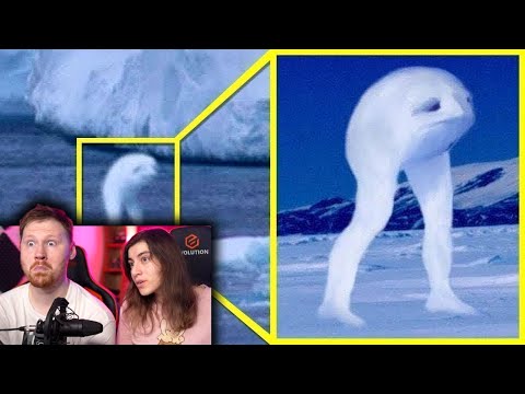 Видео: Эти Тайны Не Объяснить… Но Я Попытаюсь | РЕАКЦИЯ на WTFакт