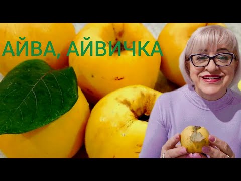 Видео: Фруктовий парфумерний кошик: АЙВА.🍁🫠