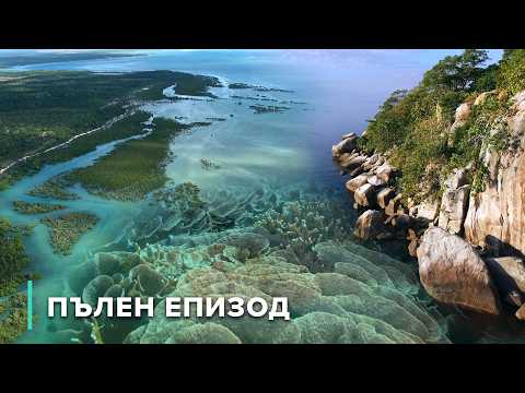 Видео: Подводно пътешествие до Мафия, Малави и Базаруто | Подводните чудеса на Африка 103+104+105