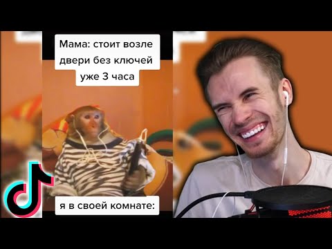 Видео: ЗАКВИЕЛЬ СМОТРИТ СМЕШНУЮ ТИКТОК ПОДБОРКУ ОТ ПОДПИСЧИКА