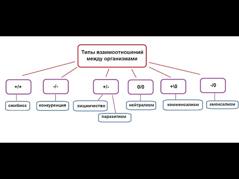 Видео: День 4. Тема 2. Типы взаимоотношений между организмами