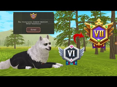 Видео: поднимаем ранг Wild Чемпион в WildCraft! СТЕПИ