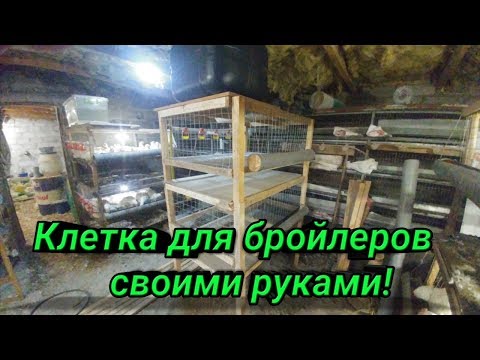 Видео: Бройлеры Сделал Новую Клетку для Бройлеров