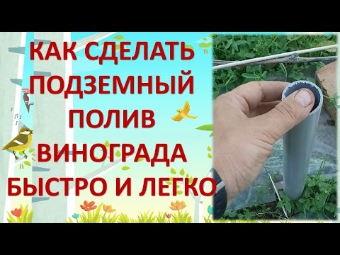 Видео: КАК СДЕЛАТЬ ПОДЗЕМНЫЙ ПОЛИВ ВИНОГРАДА. Выращивание винограда. Полив винограда.