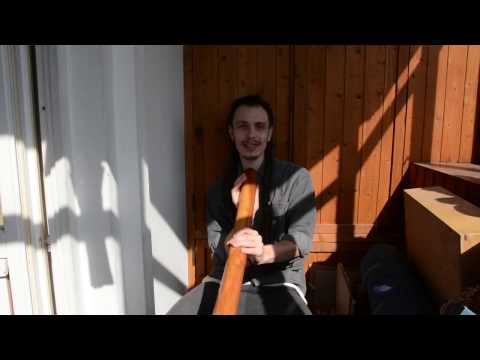 Видео: Как играть на диджериду. Урок 4: звуки животных