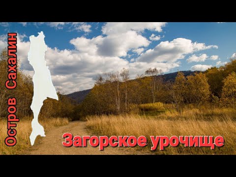 Видео: Загорское урочище. Сахалин. 13.10.24.