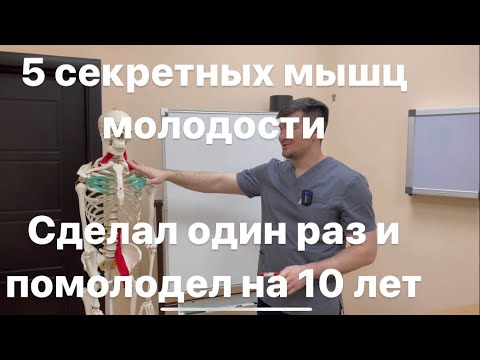 Видео: 5 мышц вечной молодости. Если их тренируешь то не стареешь никогда. 1 раз сделал на 5 лет помолодел