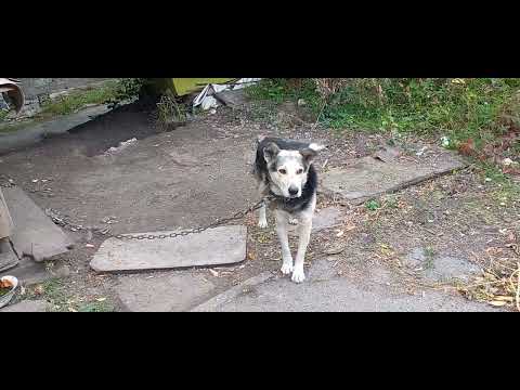 Видео: 04. 10. 2025. ПРОСТО ВИДЕО 📹 