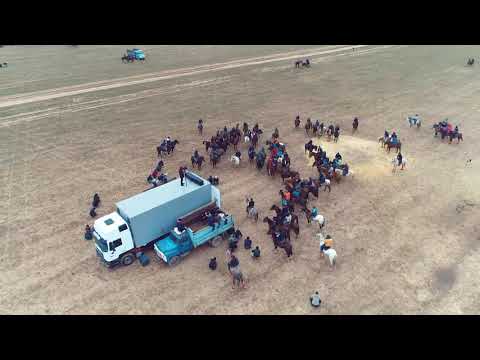 Видео: 06 03 2021  ЖЫЛҒА АУЫЛЫНЫҢ КӨКПАРЫ #көкпар