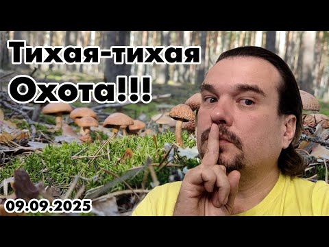 Видео: Тихая-тихая охота!!!