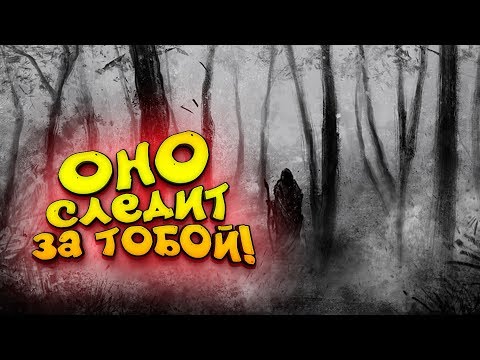Видео: ОНО СЛЕДИТ ЗА ТОБОЙ ВСЕГДА!
