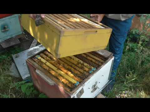 Видео: Как изменилась ситуация за 10 дней