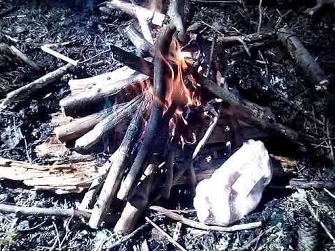 Видео: Строительство шалаша в лесу #2. Бомж пекник за 50 рублей.