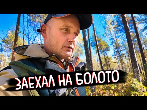 Видео: УСТАНОВИЛ ЛЕСТНИЦУ, СЪЕЗДИЛ НА БОЛОТО ЗА ЯГОДАМИ И АРТЕФАКТАМИ.