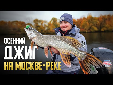 Видео: Осенняя рыбалка на Москве реке с лодки | Артём Мишин