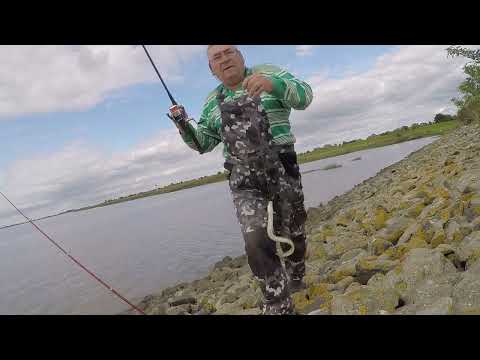 Видео: ХОРОШО ОТДОХНУЛ НА  ЭЛЬБЕ РЫБАЛКА !!!