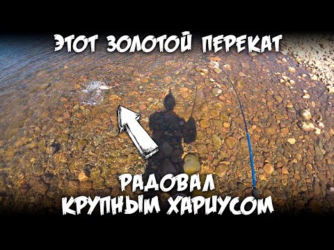 Видео: Этот золотой перекат радовал крупным хариусом