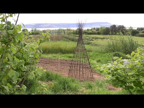 Видео: Как сплести садовый обелиск