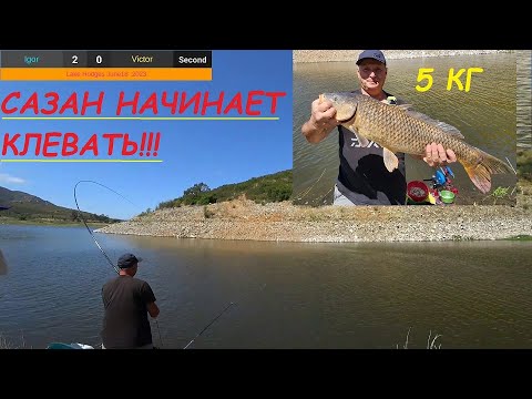 Видео: САЗАН НАЧИНАЕТ КЛЕВАТЬ!!!